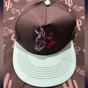 Arizona coyotes hat